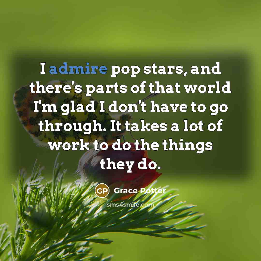 “I admire pop stars, and there's parts of that world…” quote by Grace Potter