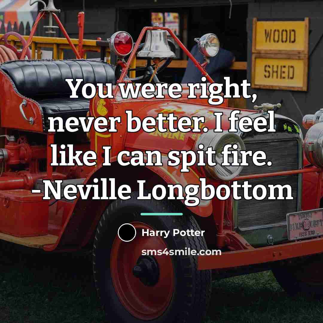 “You were right, never better. I feel like I can…” quote by Harry Potter