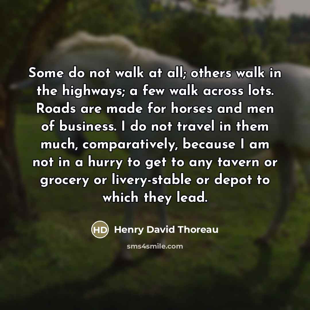 “Some do not walk at all; others walk in the…” quote by Henry David Thoreau