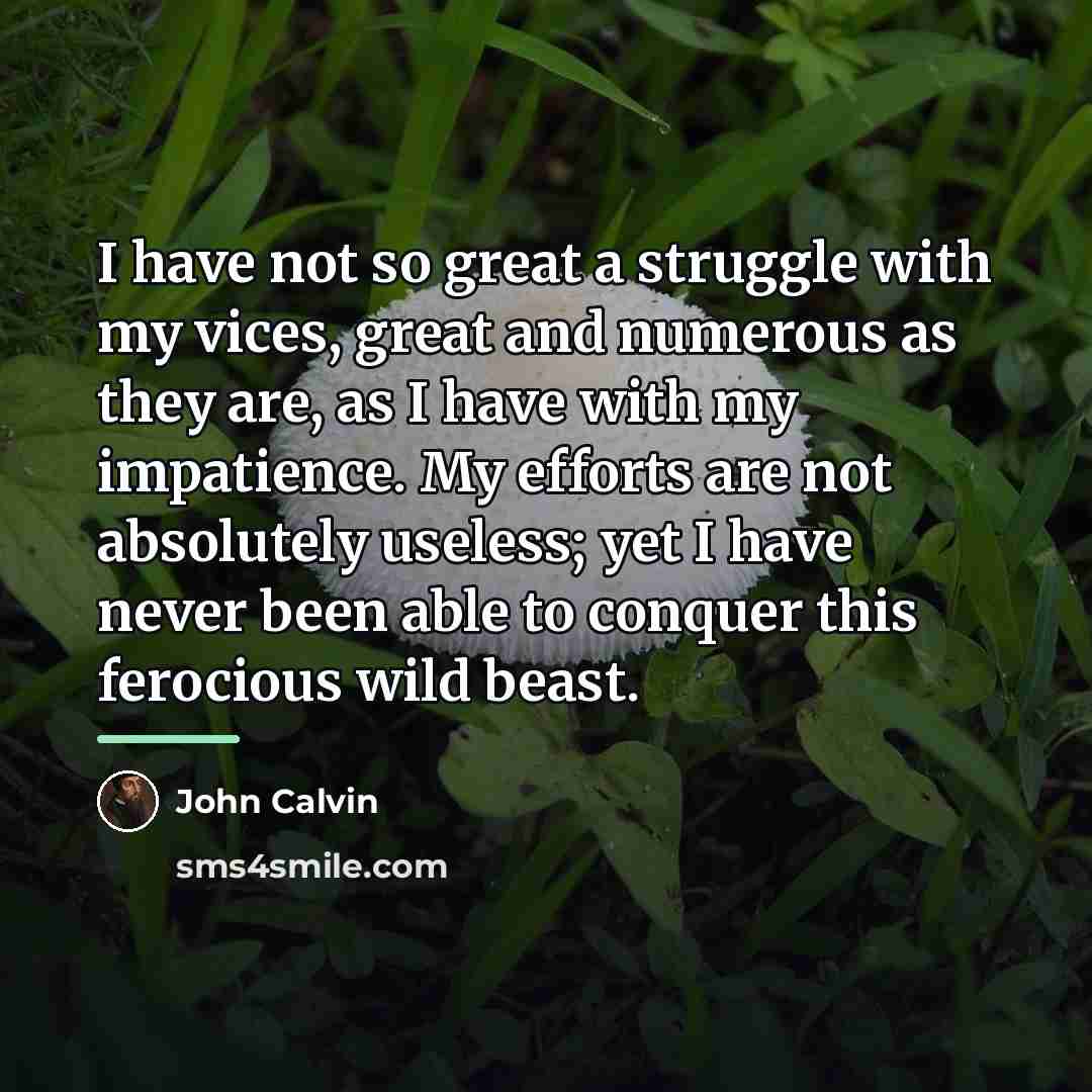 “I have not so great a struggle with my vices,…” quote by John Calvin