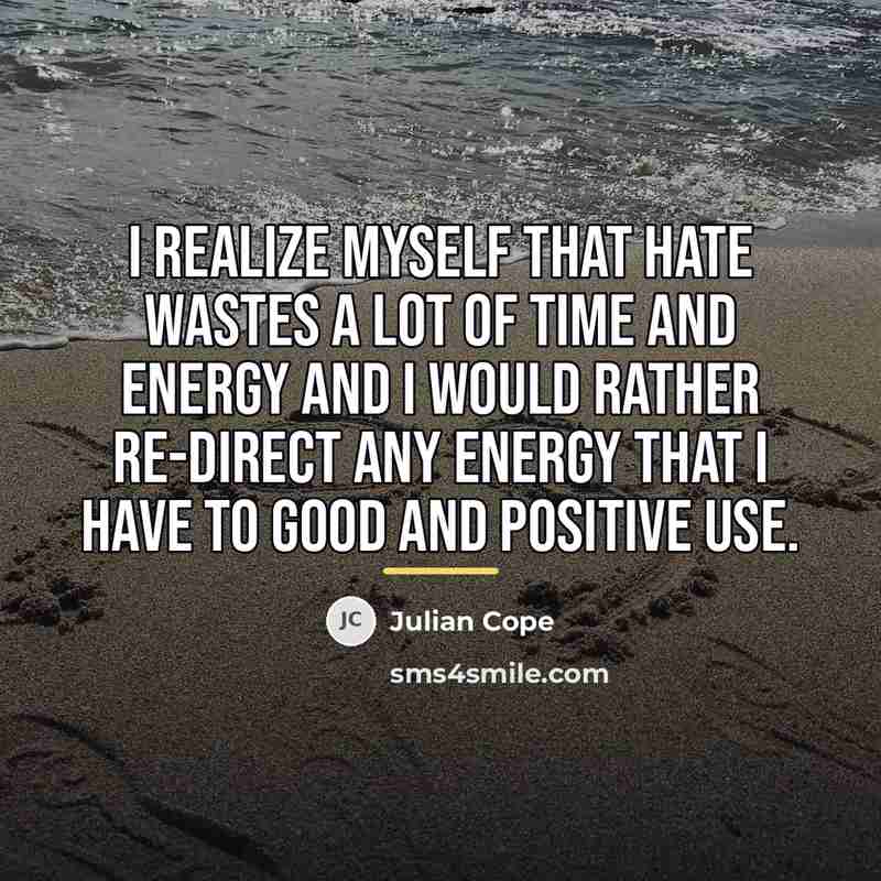 “I realize myself that hate wastes a lot of time…” quote by Julian Cope