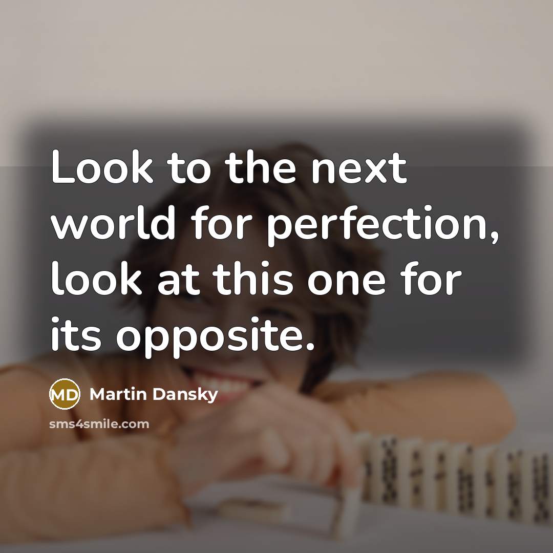 “Look to the next world for perfection, look at this…” quote by Martin Dansky