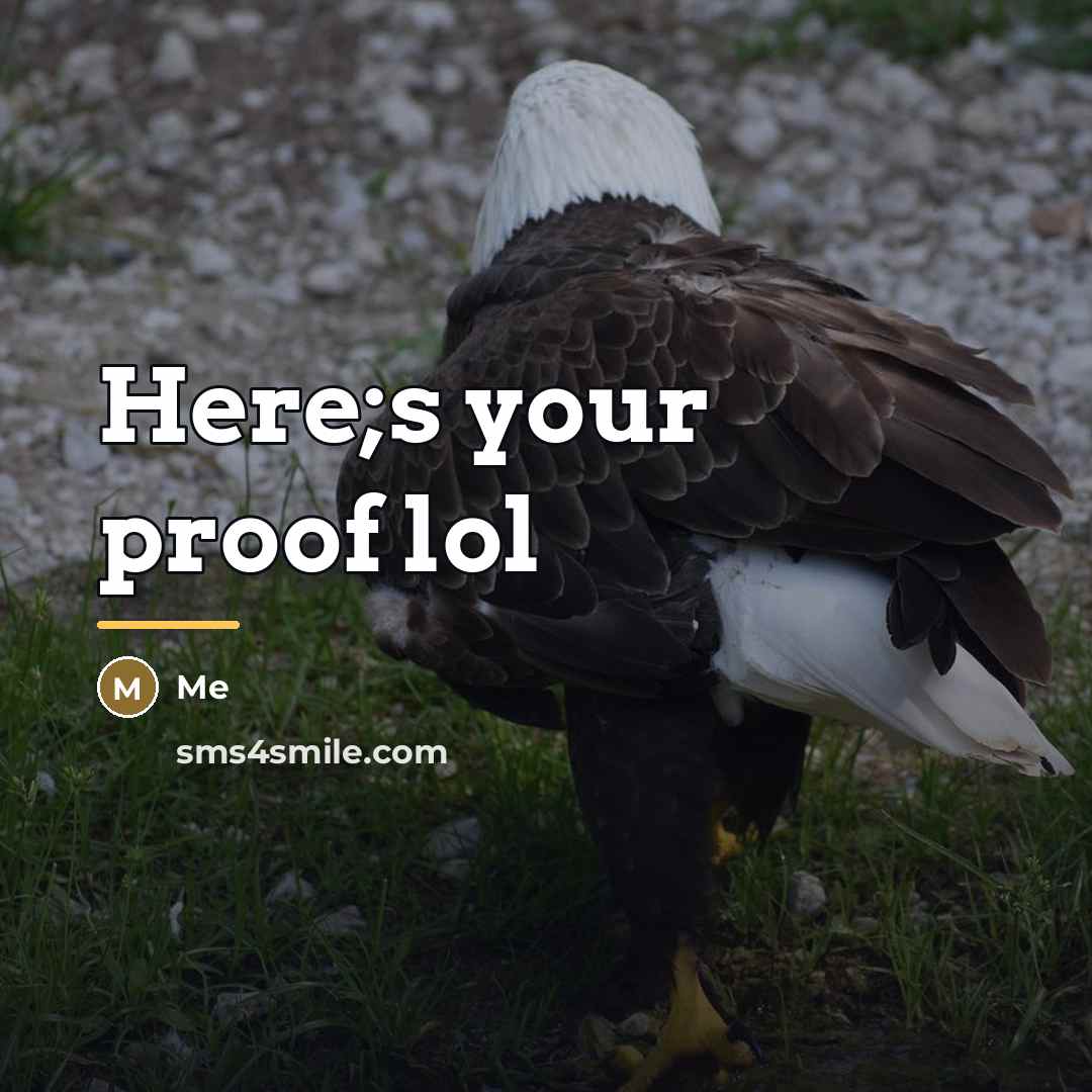 “Here;s your proof lol…” quote by Me