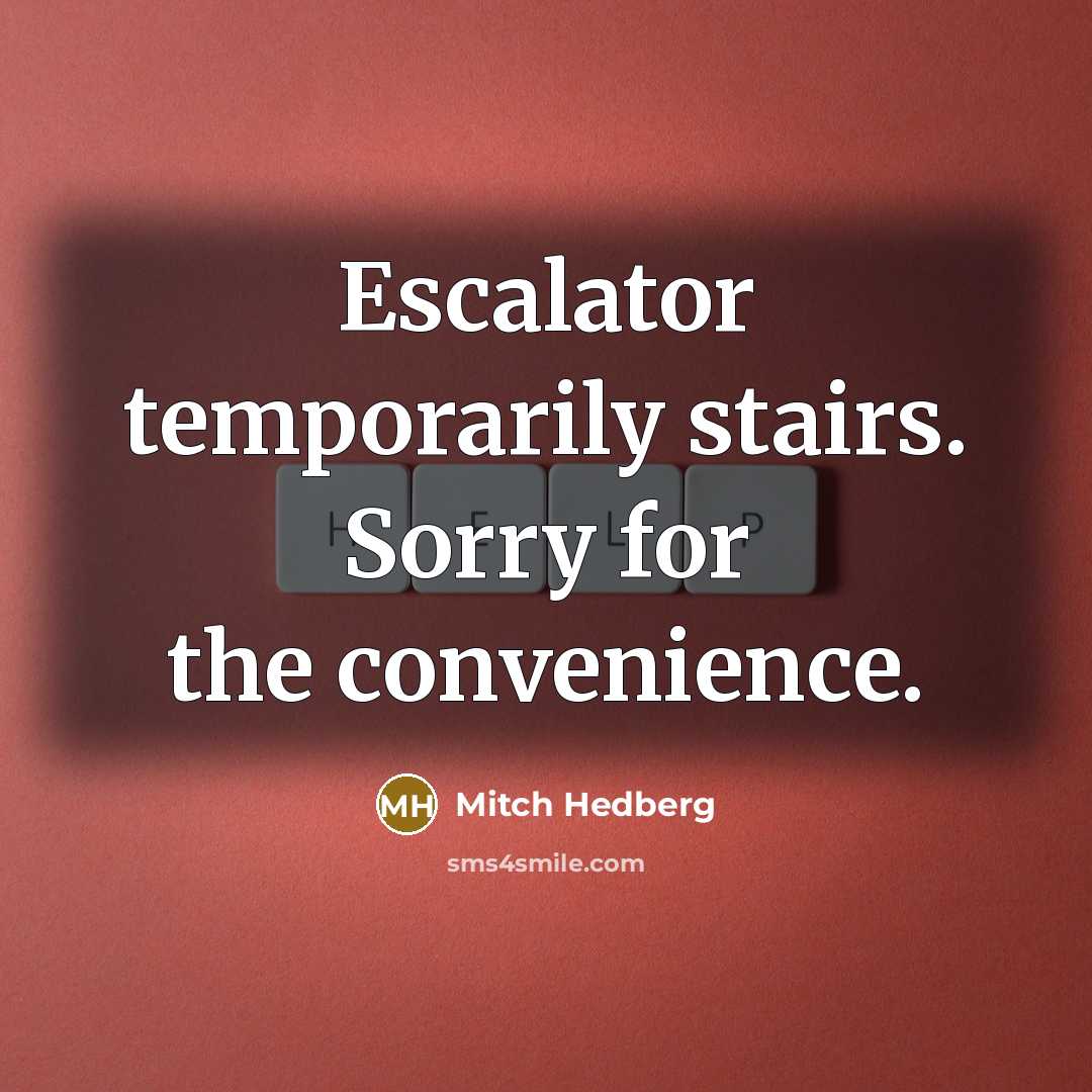 “Escalator temporarily stairs. Sorry for the convenience.…” quote by Mitch Hedberg