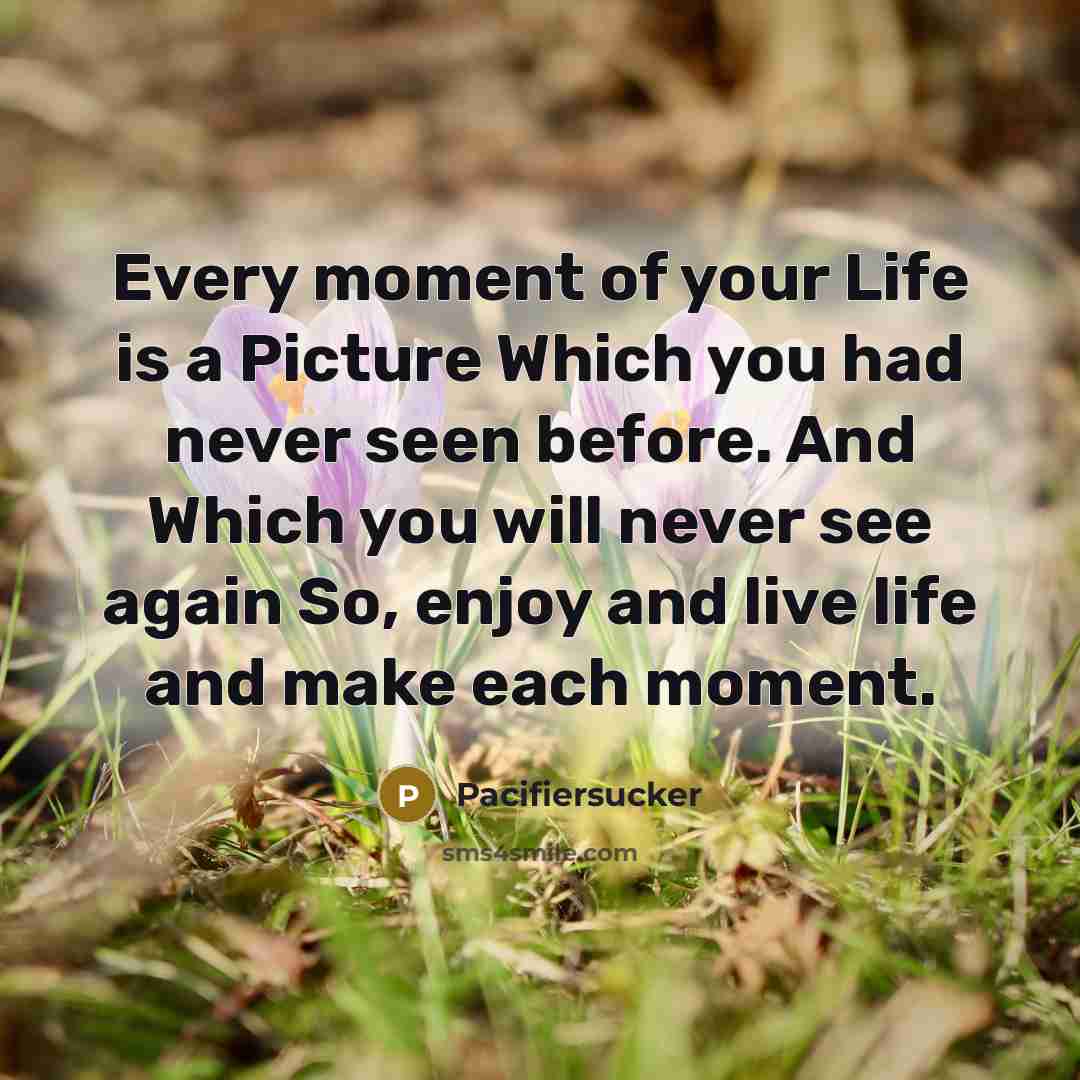 “Every moment of your Life is a Picture Which you…” quote by Pacifiersucker