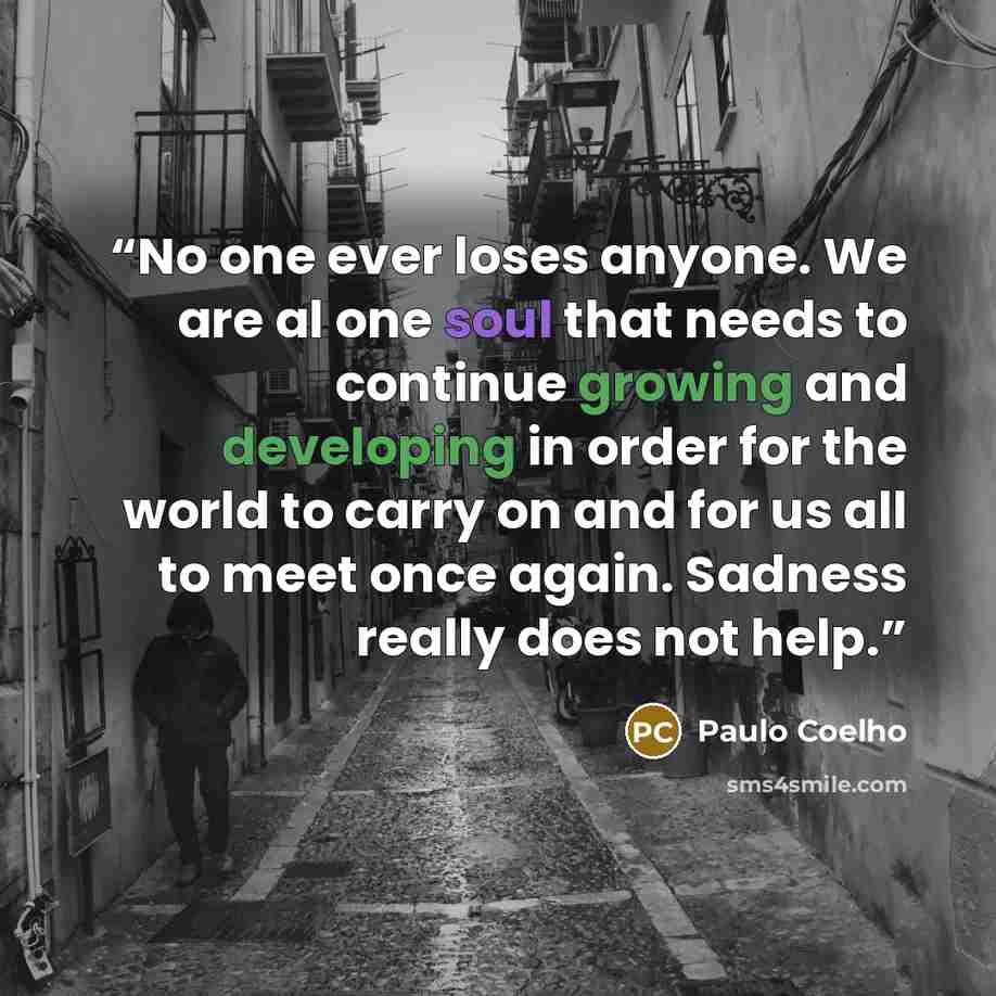 “No one ever loses anyone. We are al one soul that needs to continue growing and developing in order for the world to carry on and for us all to meet once again. Sadness really does not help.” quote by Paulo Coelho