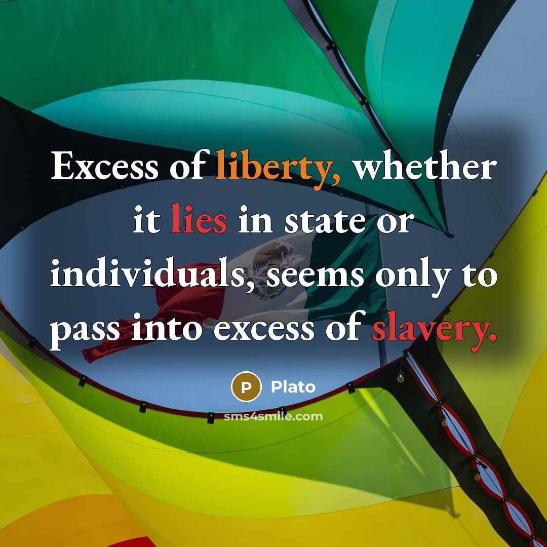 “Excess of liberty, whether it lies in state or individuals,…” quote by Plato