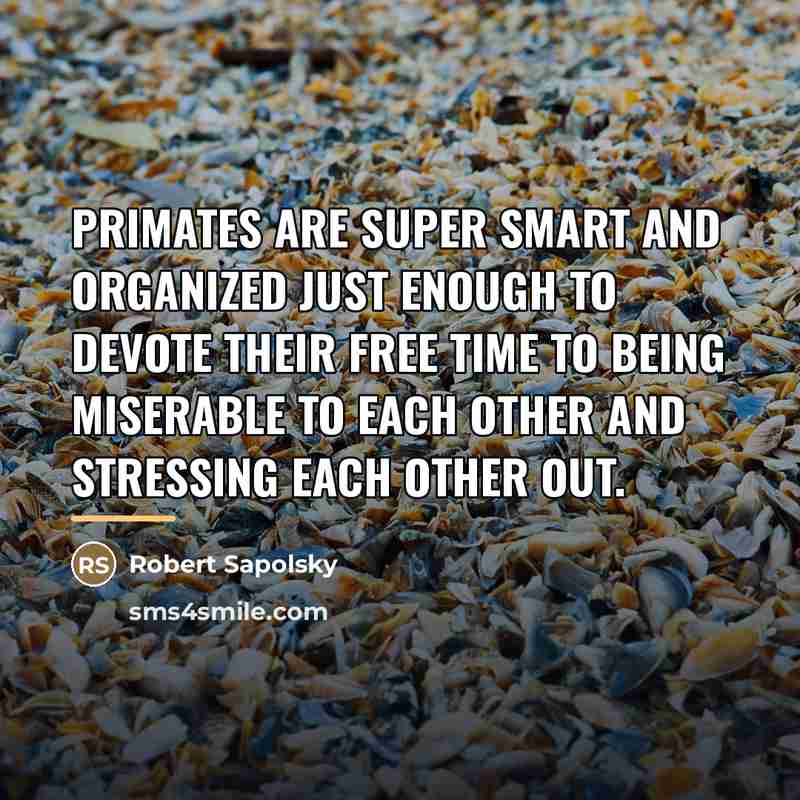 “Primates are super smart and organized just enough to devote…” quote by Robert Sapolsky