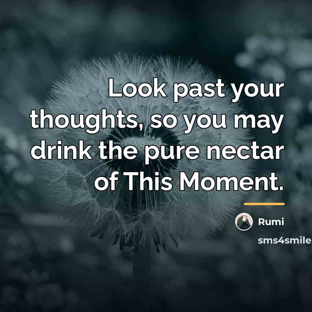 “Look past your thoughts, so you may drink the pure…” quote by Rumi