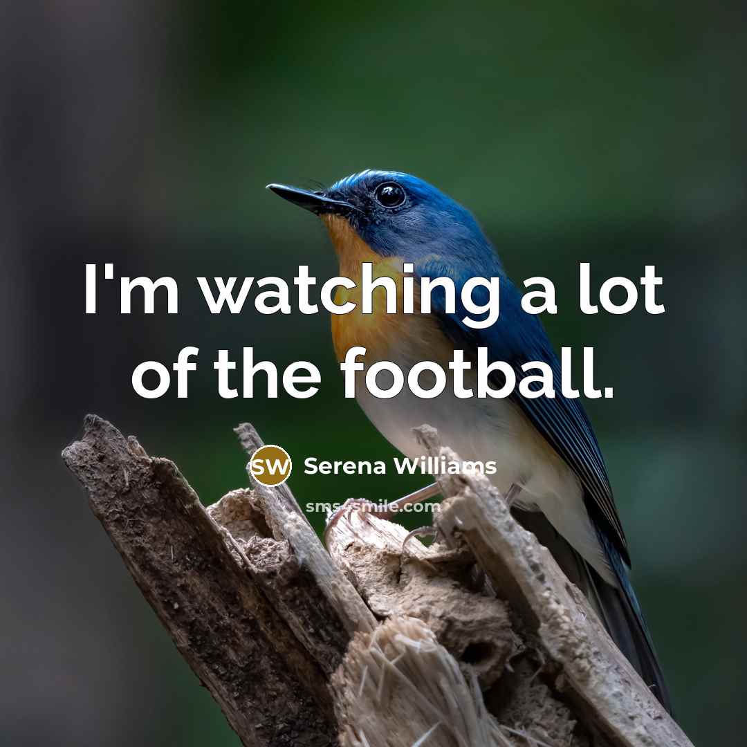 “I'm watching a lot of the football.…” quote by Serena Williams