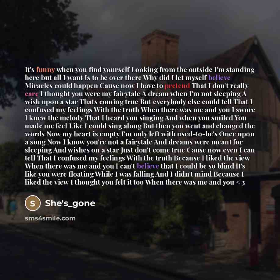 “It's funny when you find yourself Looking from the outside…” quote by She's_gone