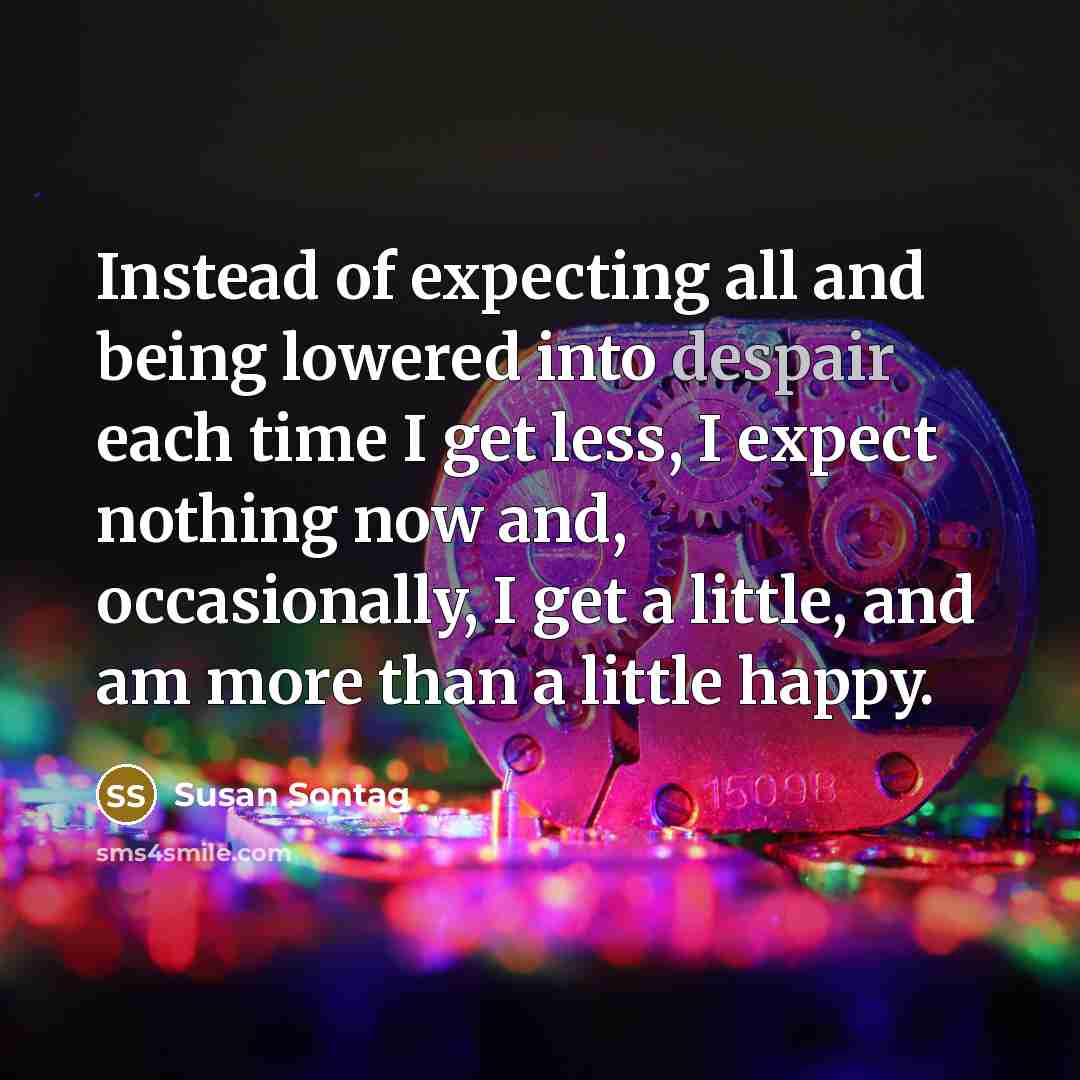 “Instead of expecting all and being lowered into despair each…” quote by Susan Sontag
