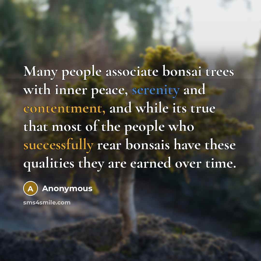 “Many people associate bonsai trees with inner peace, serenity and contentment, and while its true that most of the people who successfully rear bonsais have these qualities they are earned over time.” quote by Anonymous