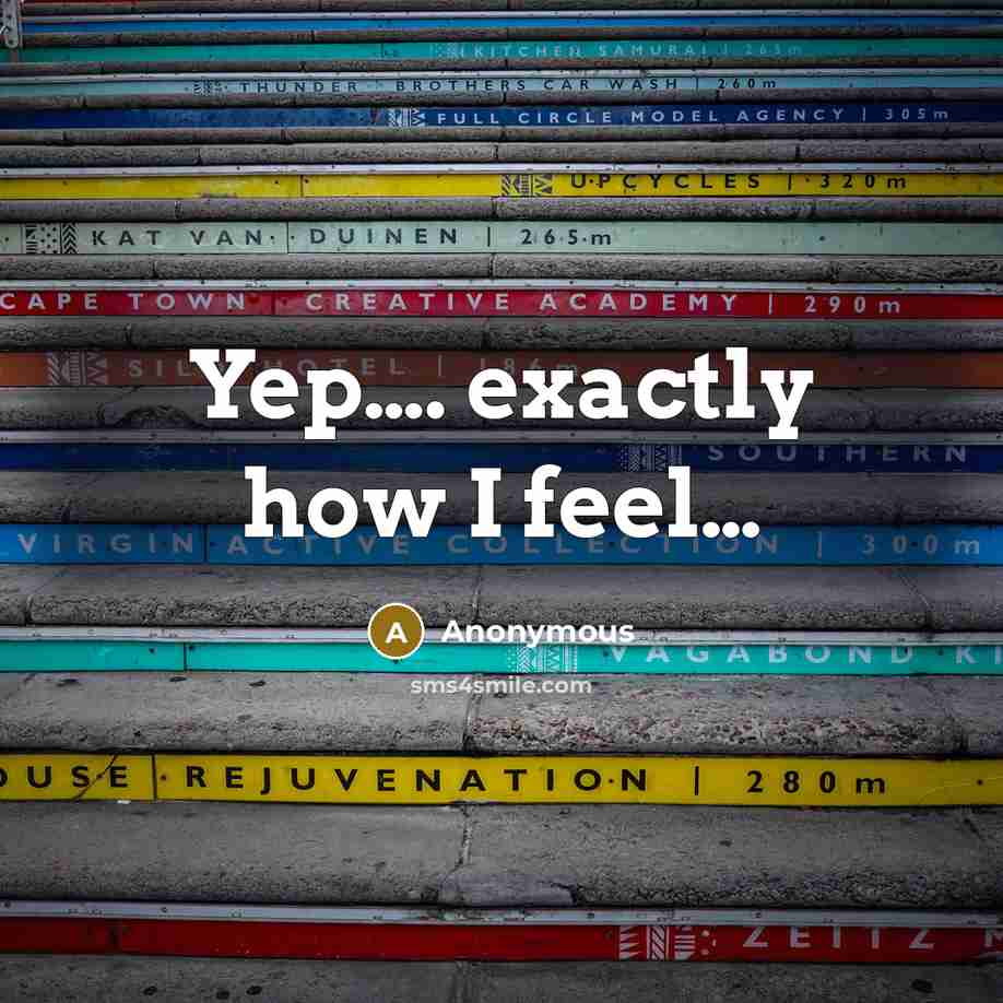 “Yep…. exactly how I feel…” quote by Anonymous
