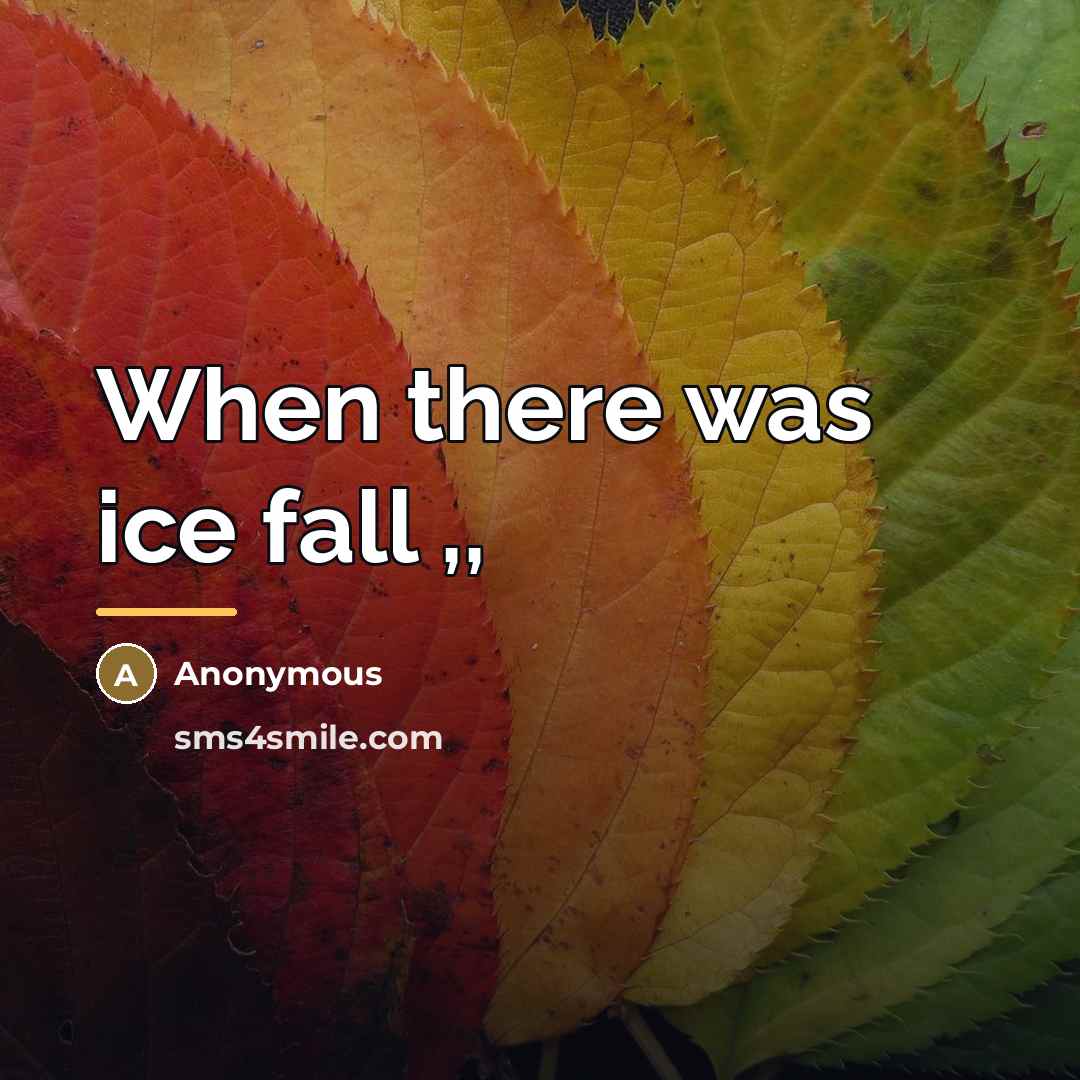“When there was ice fall ,,…” quote by Anonymous