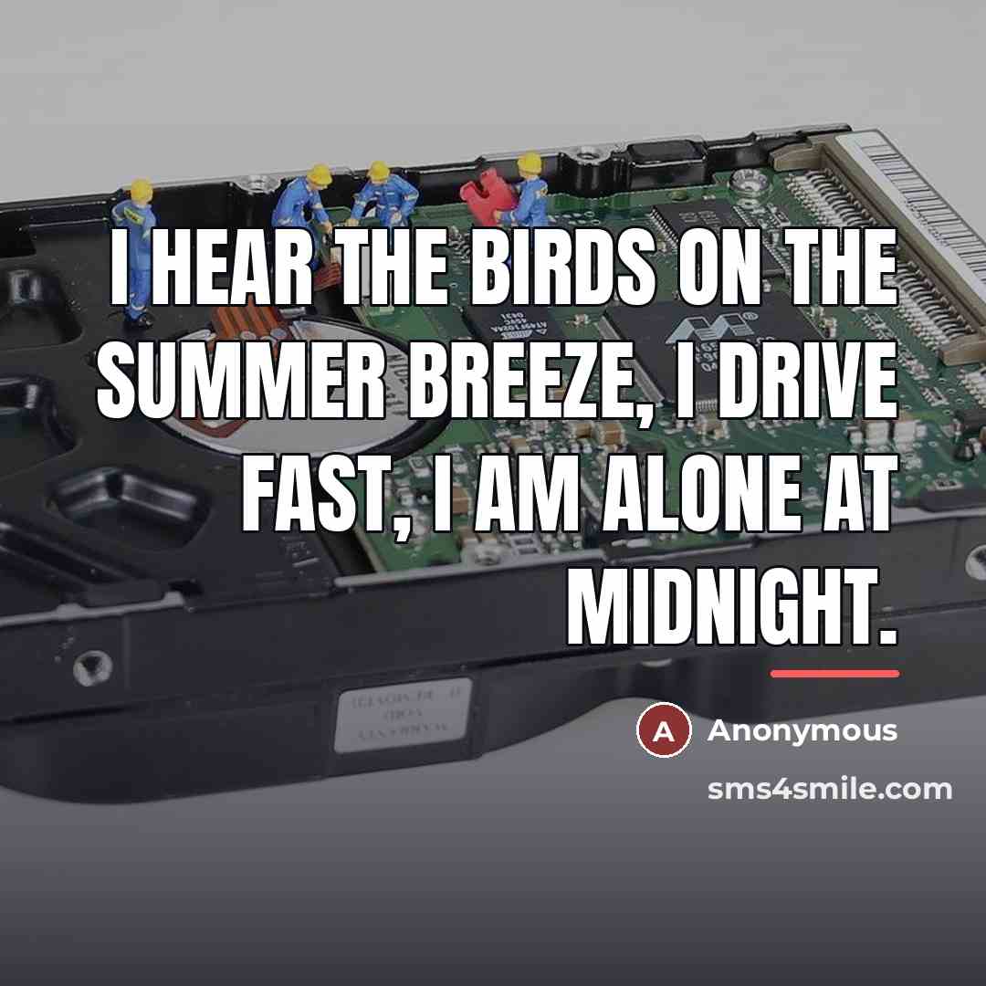 “I hear the birds on the summer breeze, I drive…” quote by Anonymous