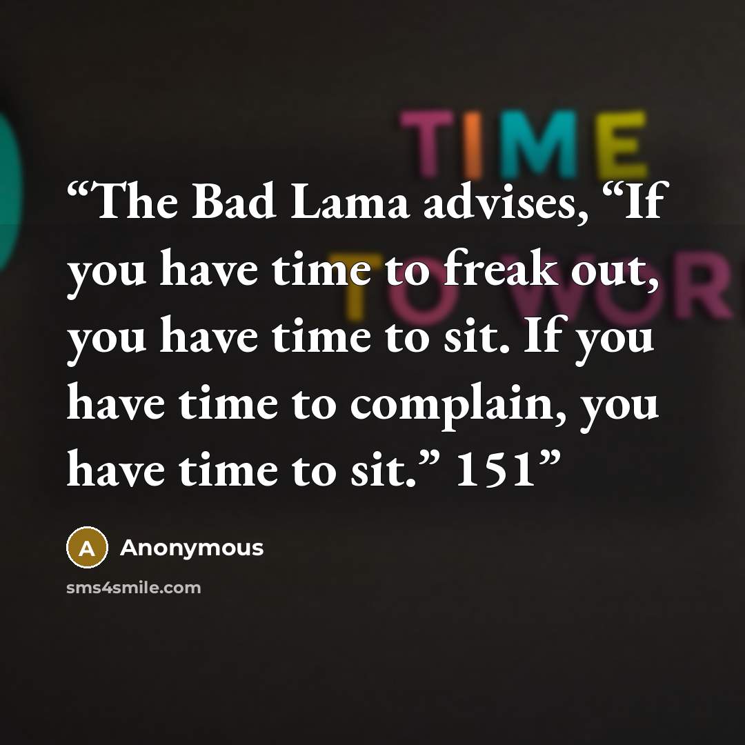 “The Bad Lama advises, “If you have time to freak out, you have time to sit. If you have time to complain, you have time to sit.” 151” quote by Anonymous