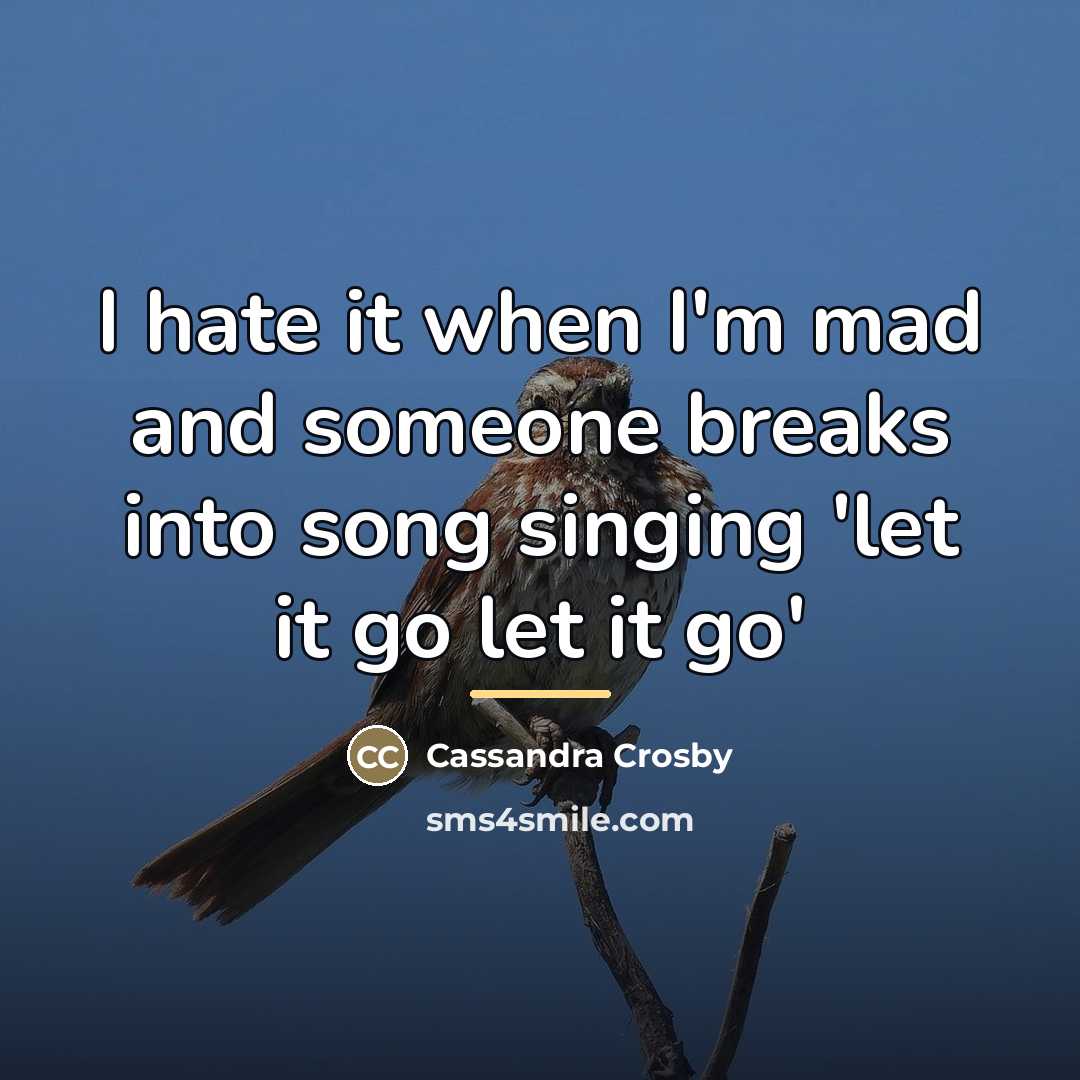 “I hate it when I'm mad and someone breaks into…” quote by Cassandra Crosby