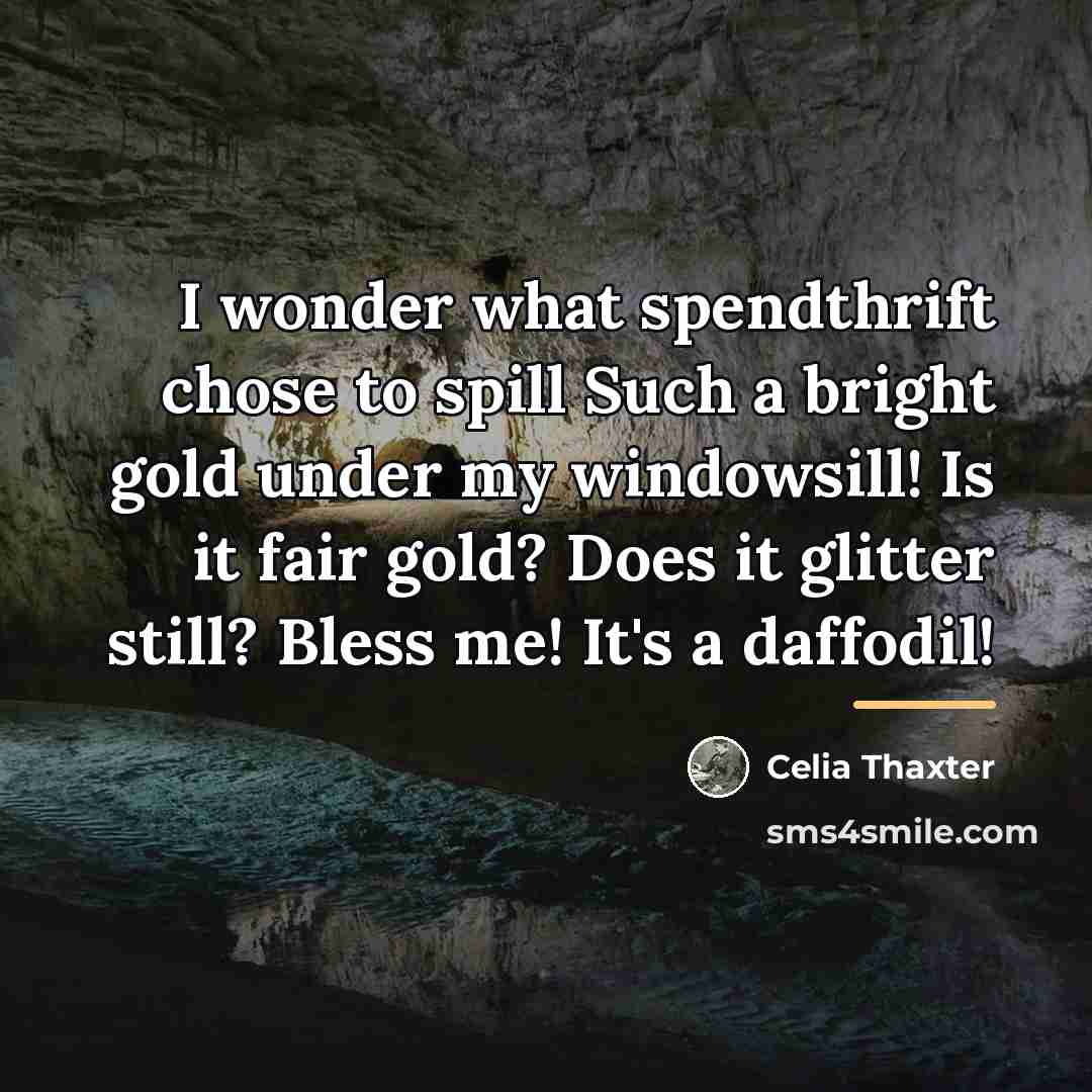 “I wonder what spendthrift chose to spill Such a bright…” quote by Celia Thaxter