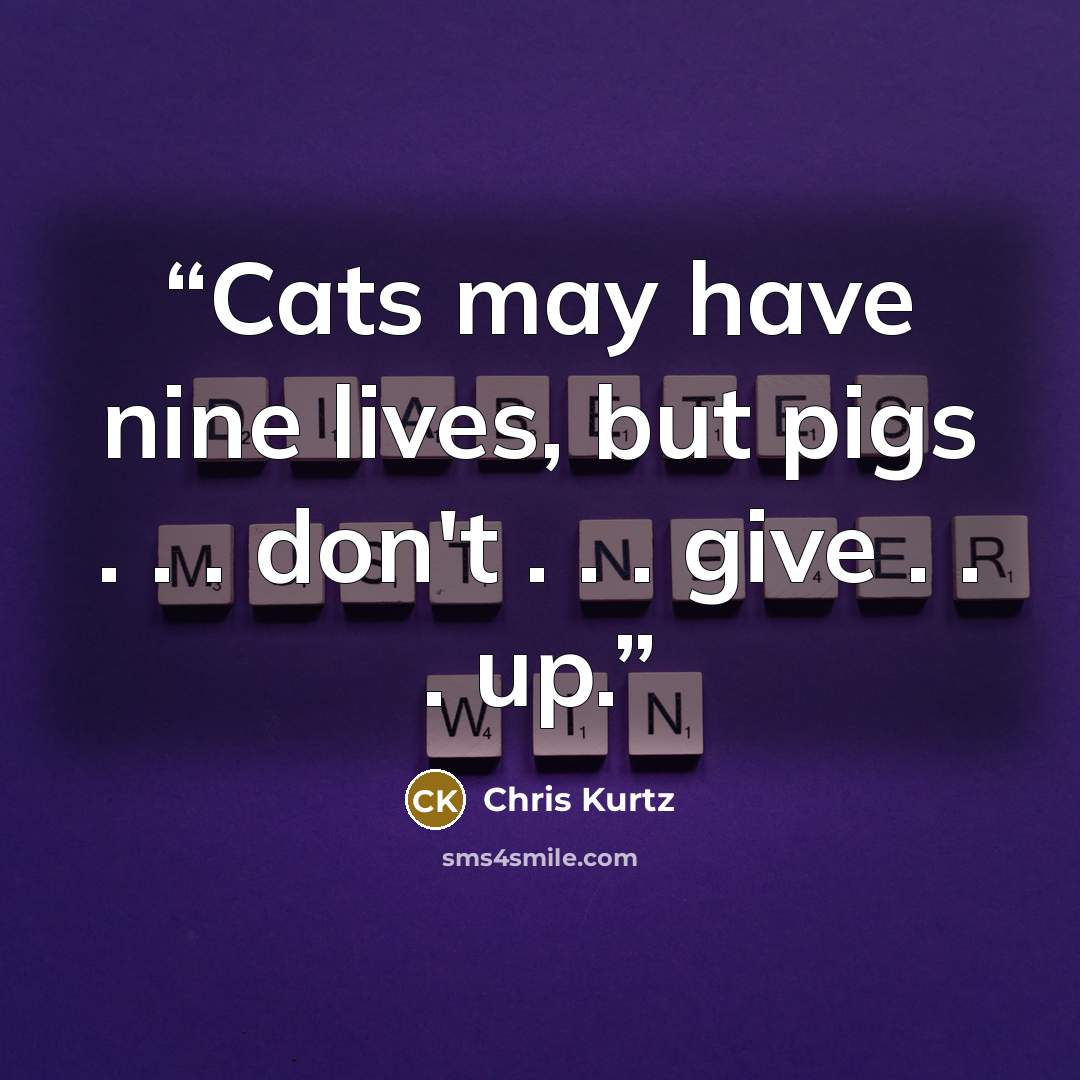 “Cats may have nine lives, but pigs . . . don't . . . give . . . up.” quote by Chris Kurtz