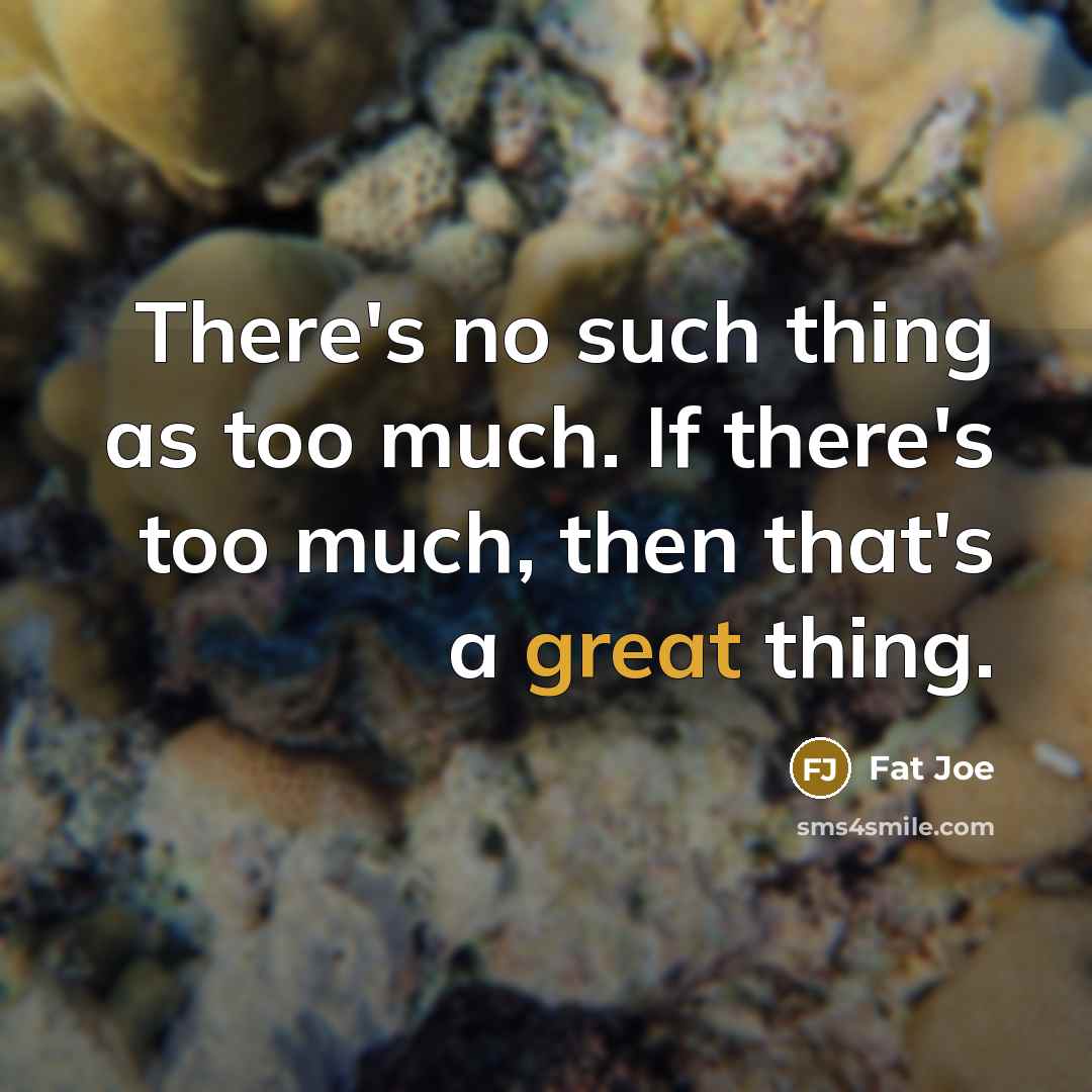 “There's no such thing as too much. If there's too…” quote by Fat Joe