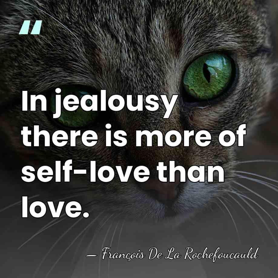 In jealousy there is more of self-love than love. - Francois De La Rochefoucauld