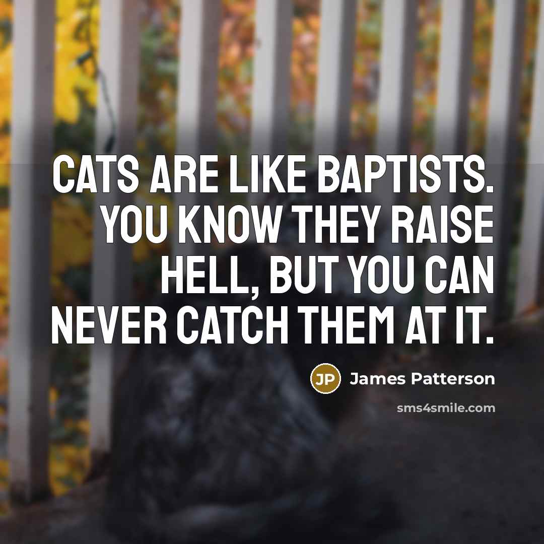“Cats are like Baptists. You know they raise hell, but…” quote by James Patterson