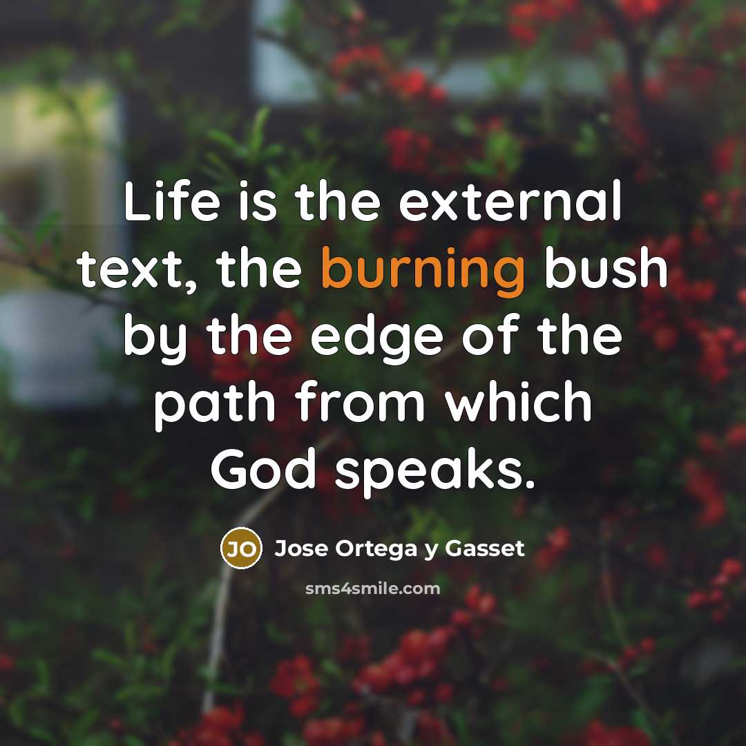 “Life is the external text, the burning bush by the…” quote by Jose Ortega y Gasset