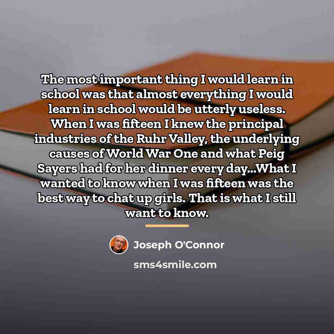 “The most important thing I would learn in school was…” quote by Joseph O'Connor