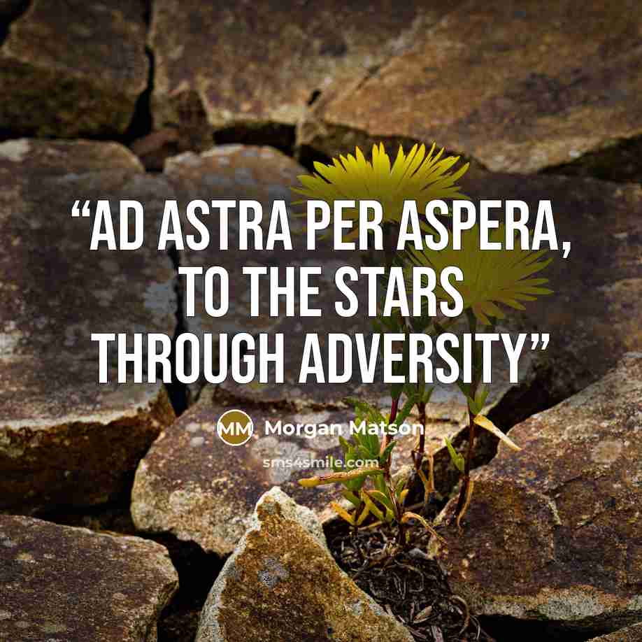 “Ad astra per aspera, to the stars through adversity” quote by Morgan Matson