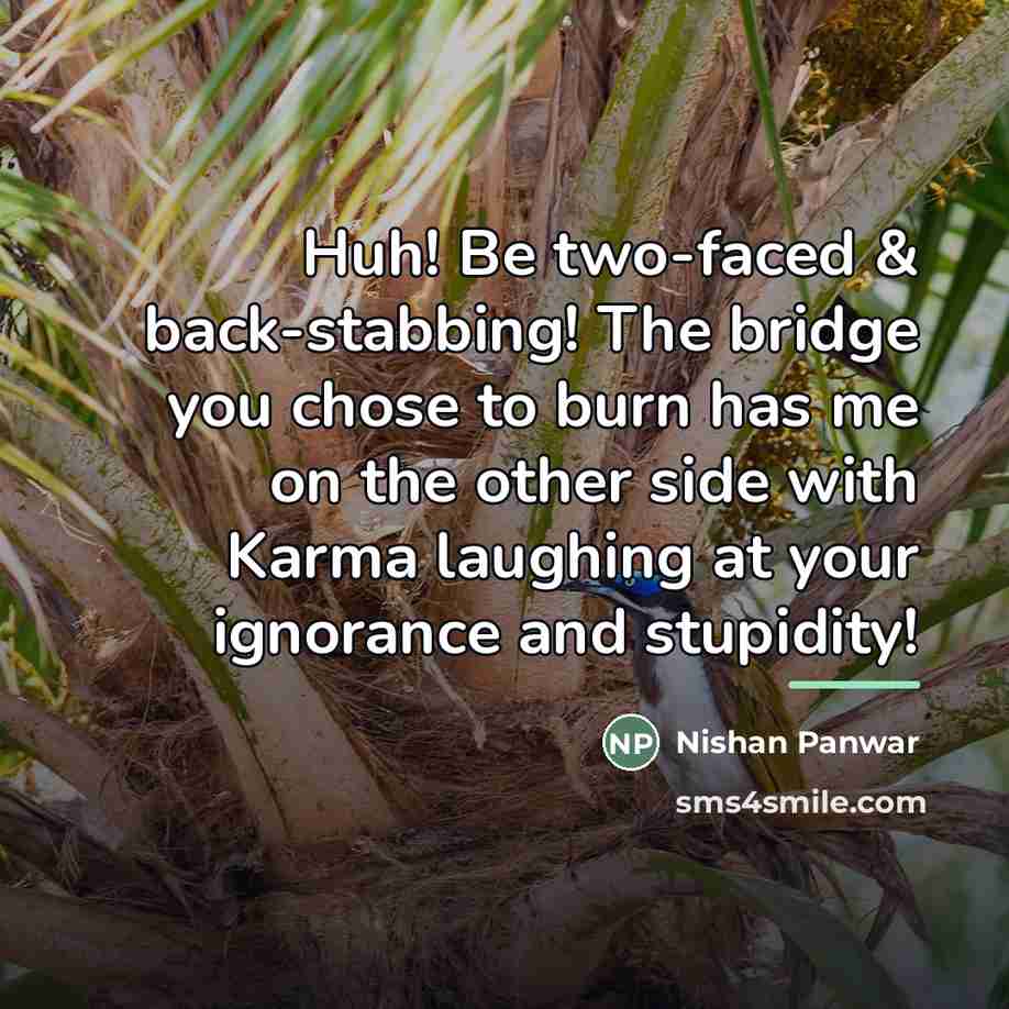 “Huh! Be two-faced & back-stabbing! The bridge you chose to…” quote by Nishan Panwar