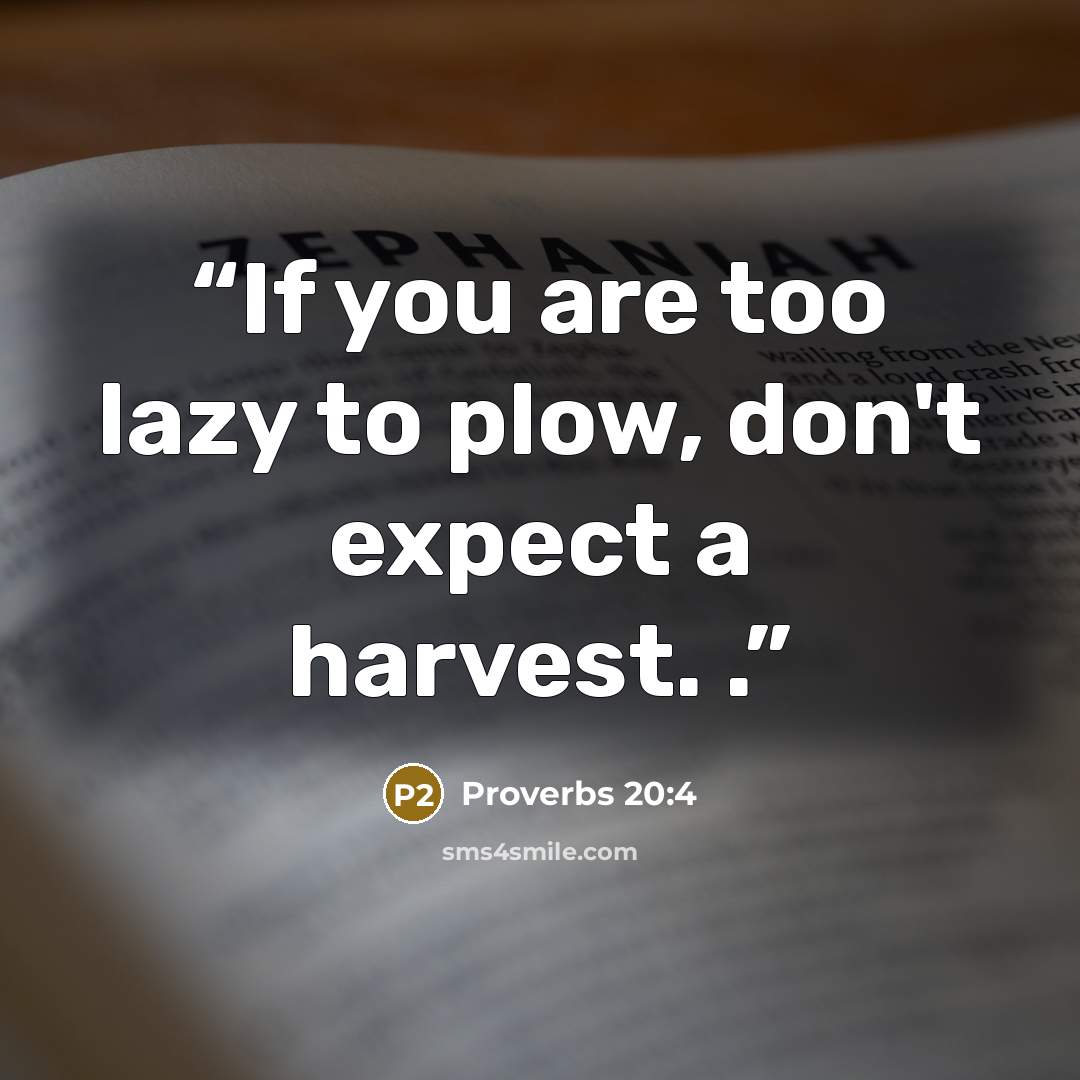 “If you are too lazy to plow, don't expect a harvest. .” quote by Proverbs 20:4