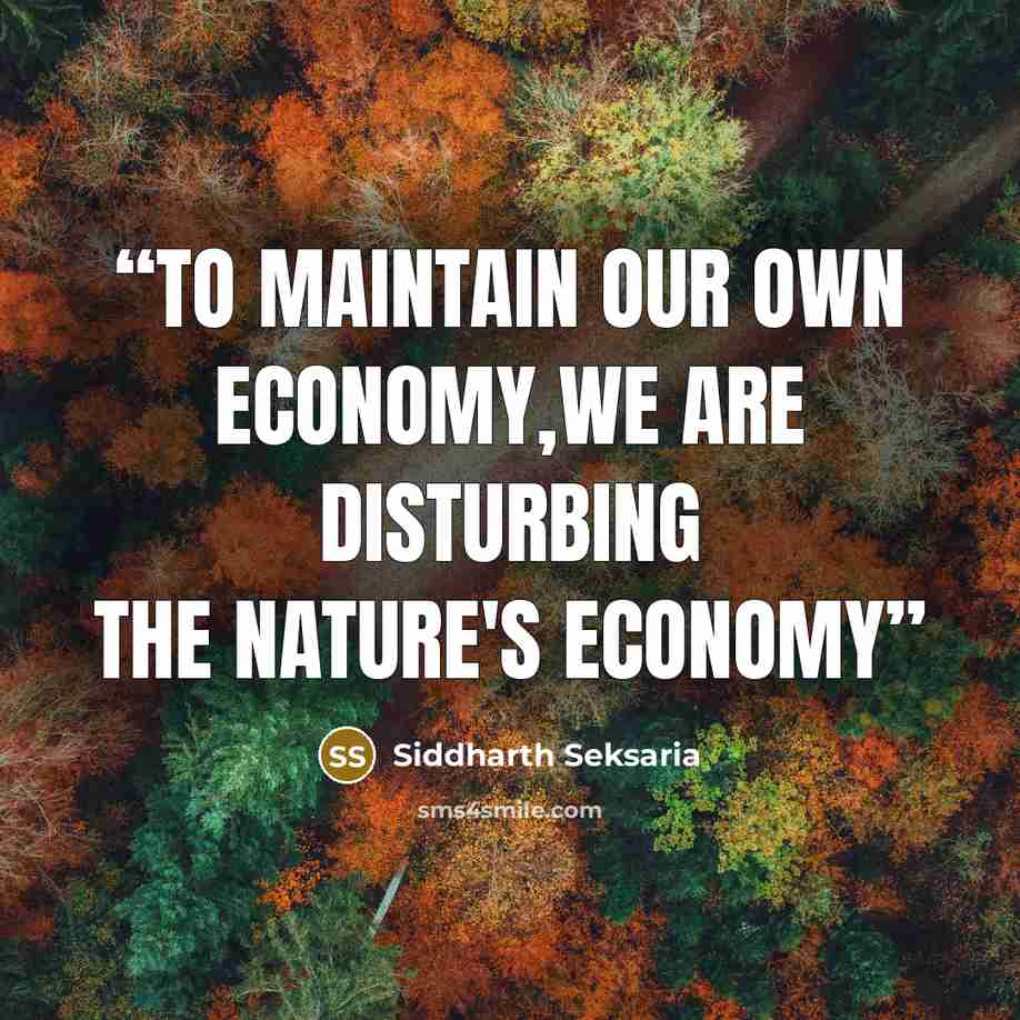 “To maintain our own economy,we are disturbing the nature's economy” quote by Siddharth Seksaria