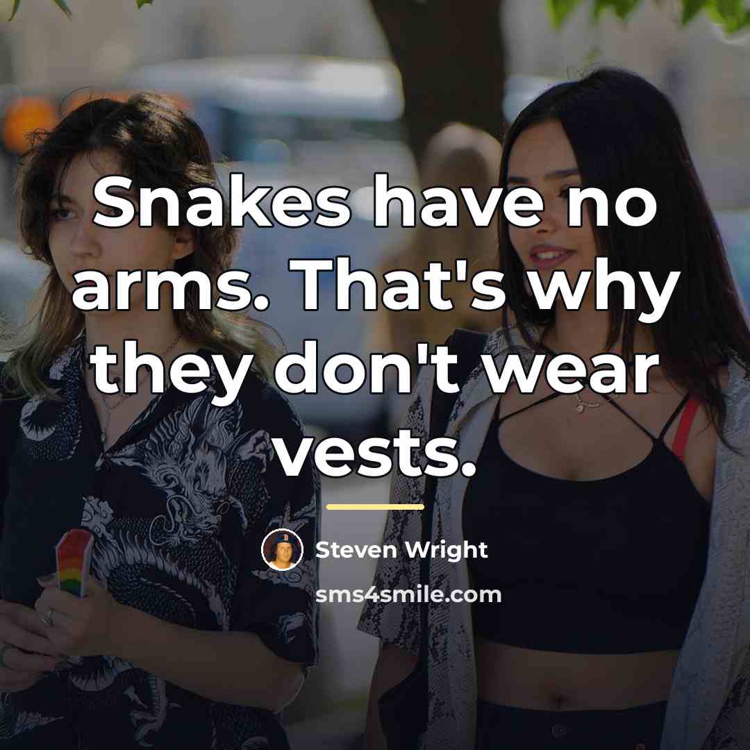 “Snakes have no arms. That's why they don't wear vests.…” quote by Steven Wright