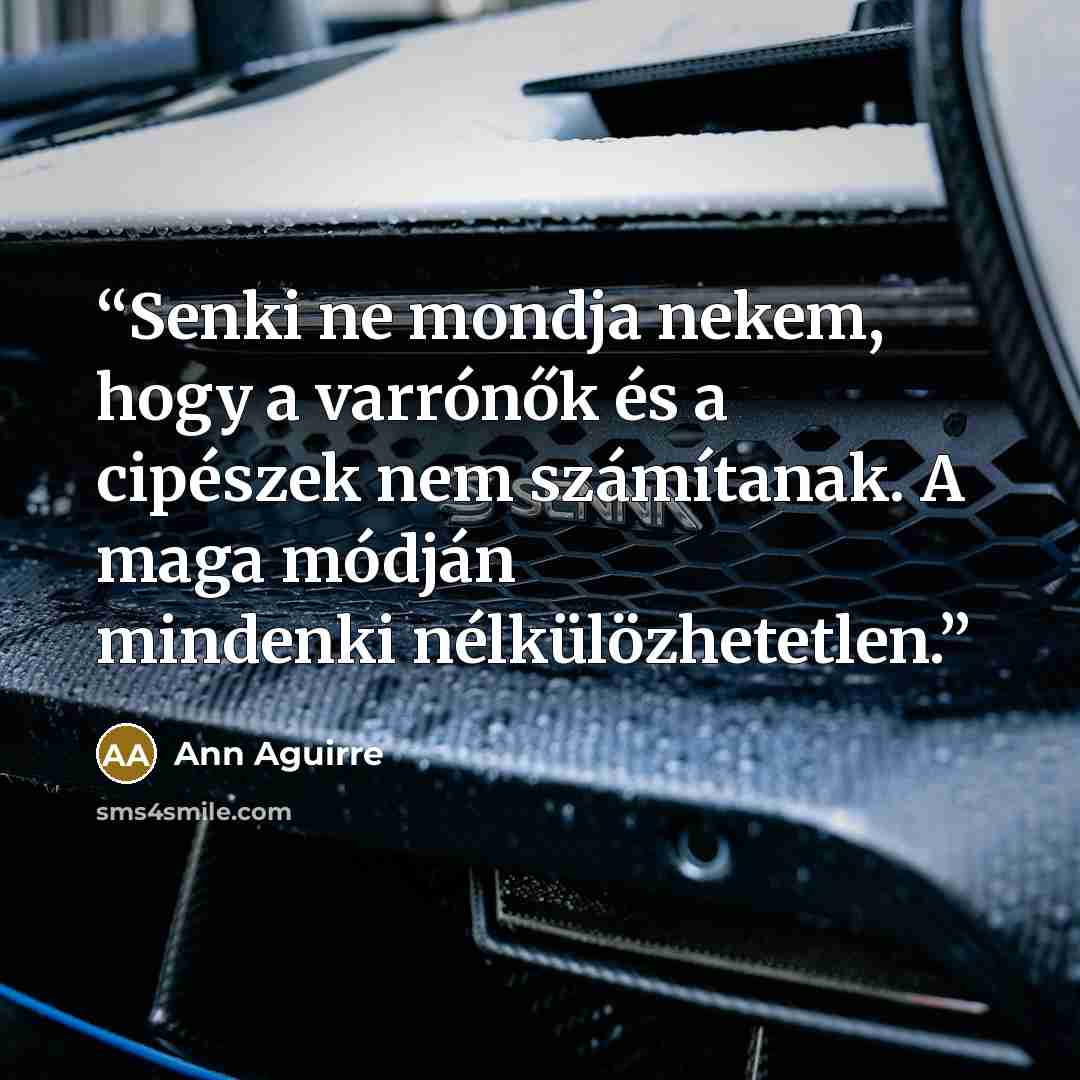 “Senki ne mondja nekem, hogy a varrónők és a cipészek nem számítanak. A maga módján mindenki nélkülözhetetlen.” quote by Ann Aguirre