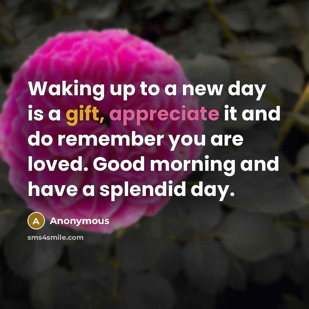 “Waking up to a new day is a gift, appreciate…” quote by Anonymous