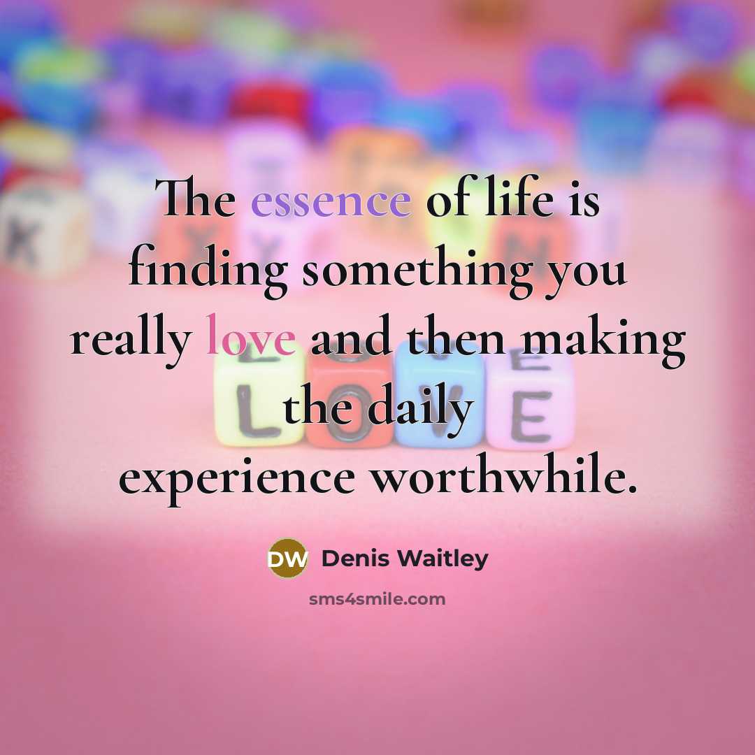 “The essence of life is finding something you really love…” quote by Denis Waitley