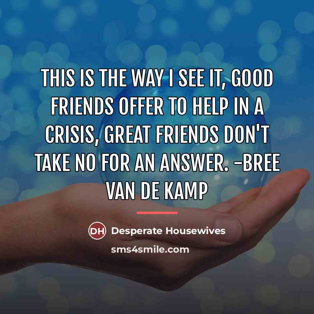 “This is the way I see it, good friends offer…” quote by Desperate Housewives