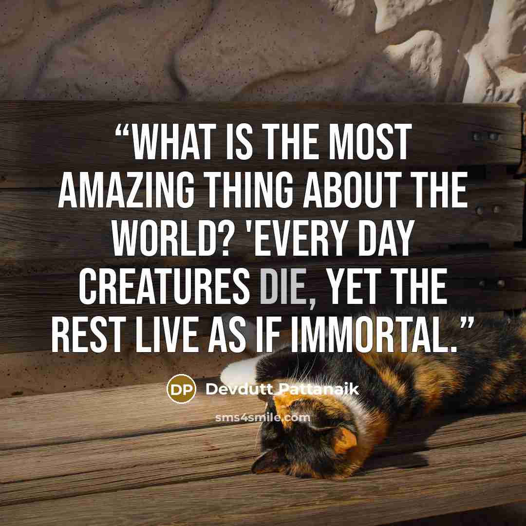 “What is the most amazing thing about the world? 'Every day creatures die, yet the rest live as if immortal.” quote by Devdutt Pattanaik