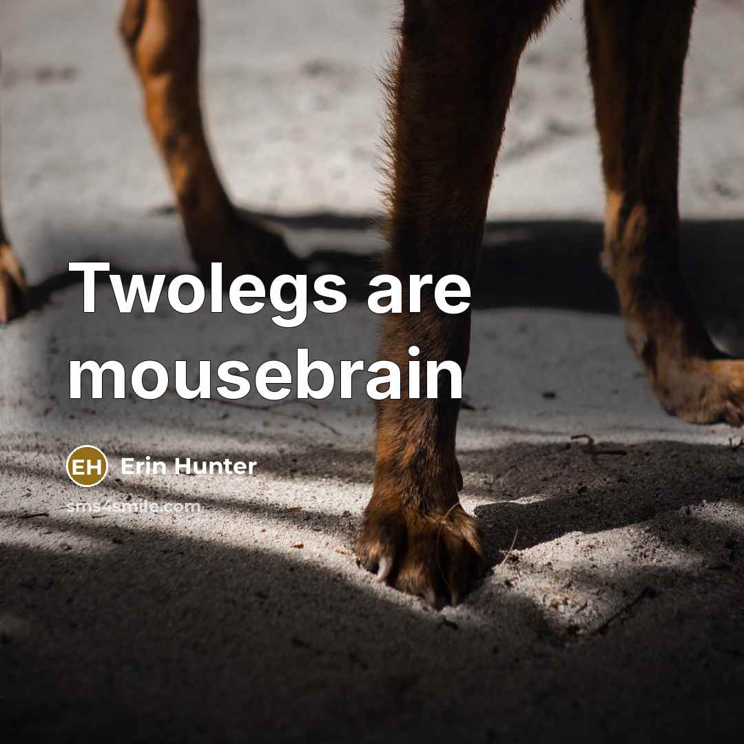 “Twolegs are mousebrain” quote by Erin Hunter