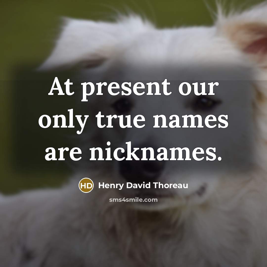 “At present our only true names are nicknames.” quote by Henry David Thoreau