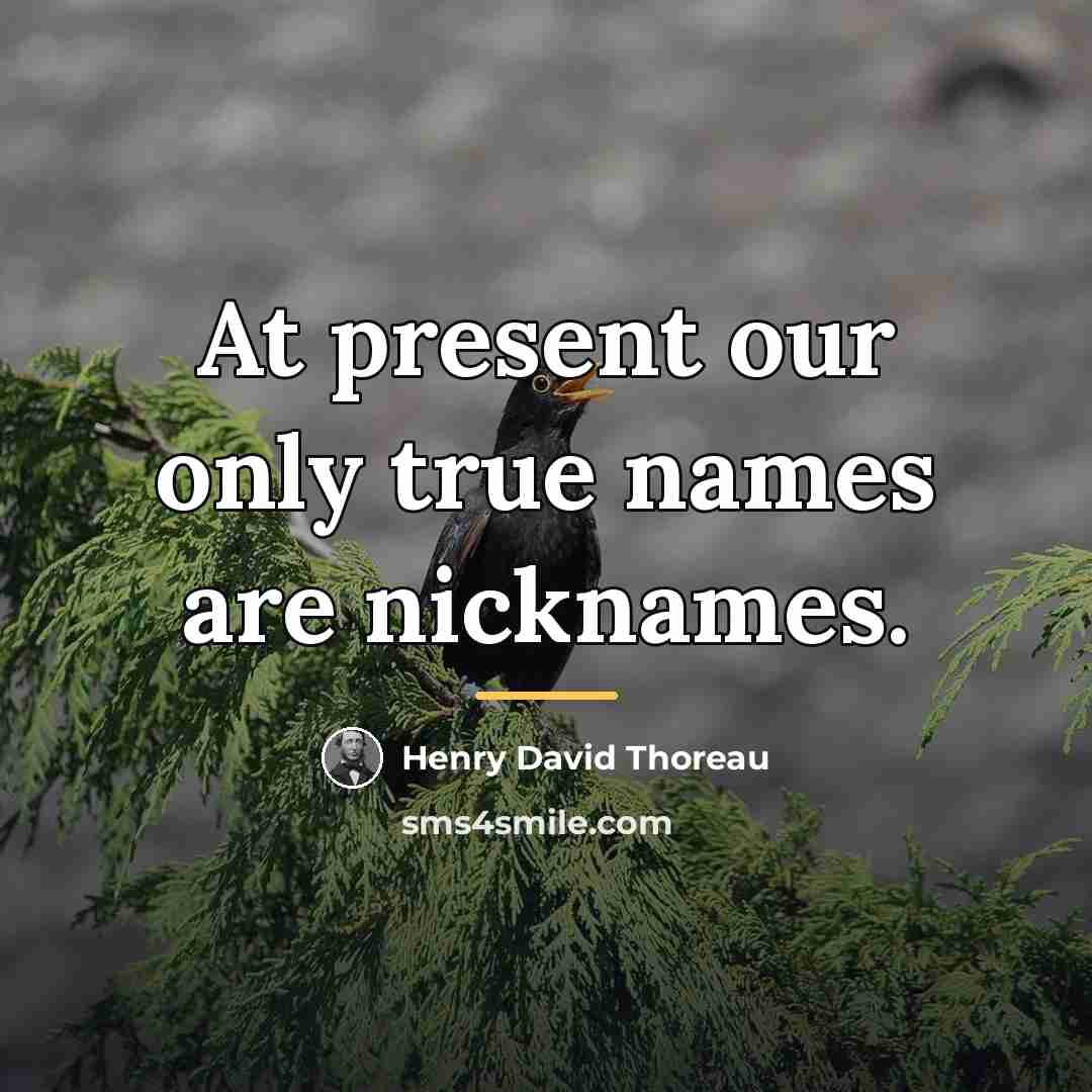 “At present our only true names are nicknames.…” quote by Henry David Thoreau