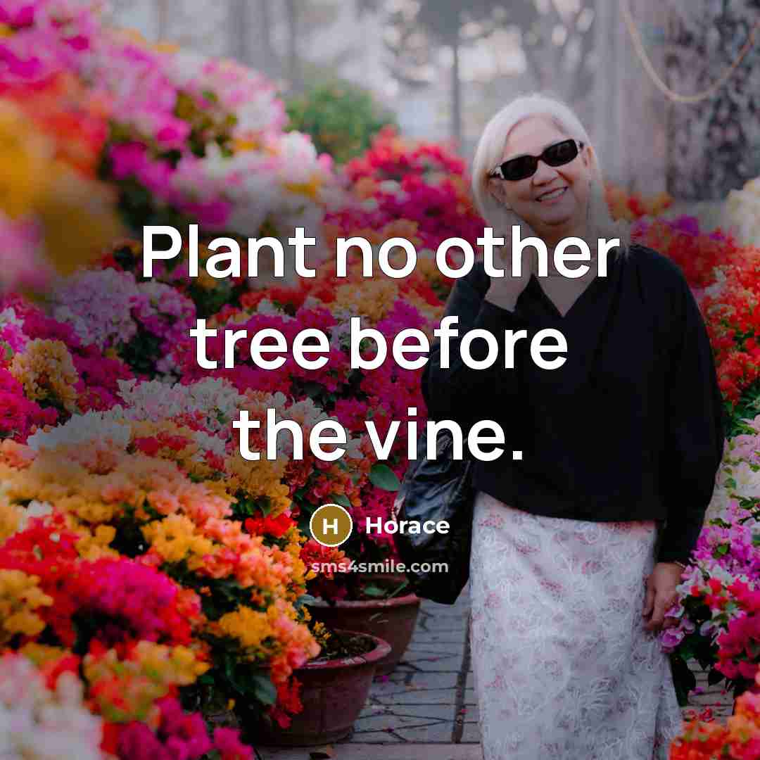 “Plant no other tree before the vine.…” quote by Horace