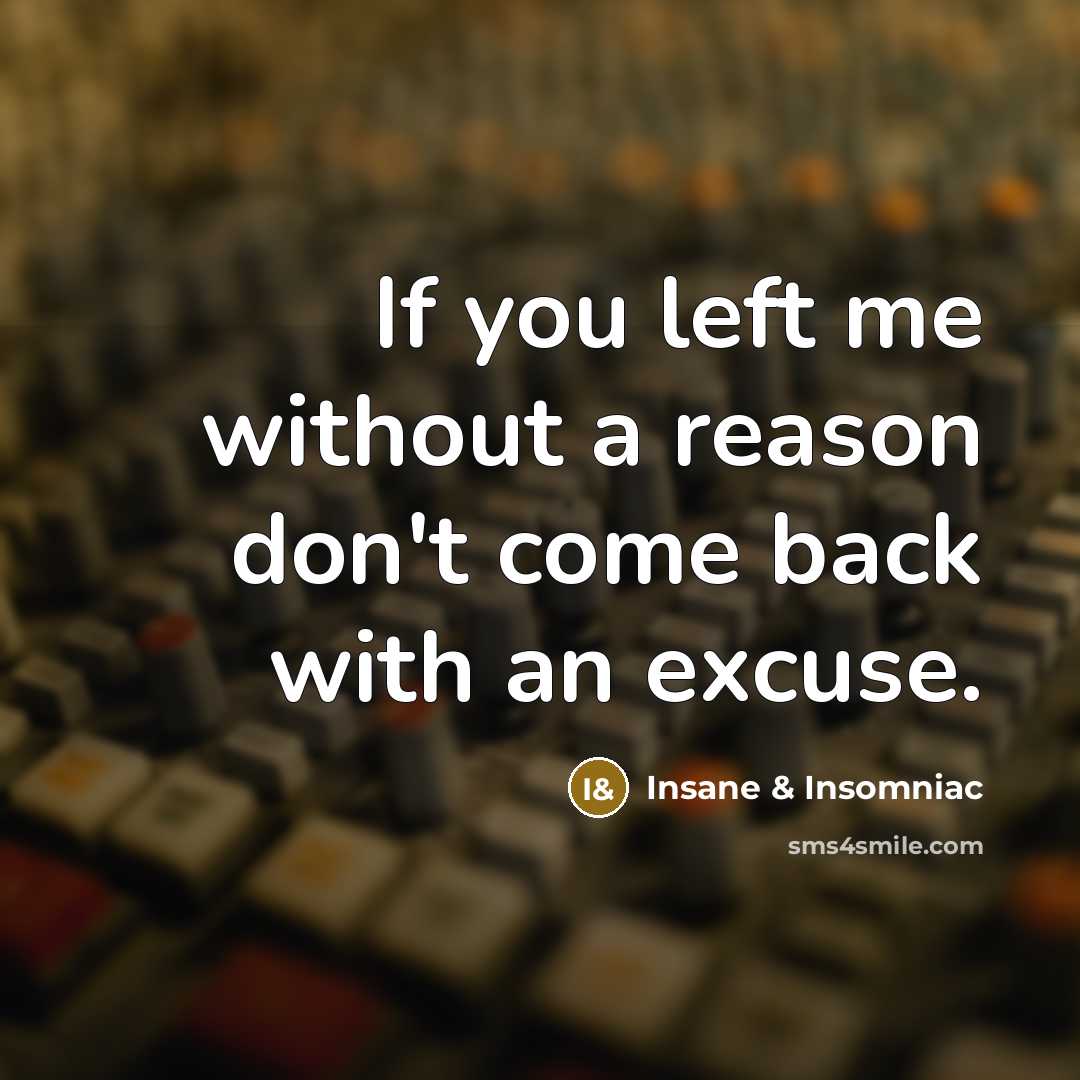 “If you left me without a reason don't come back with an excuse.” quote by Insane & Insomniac