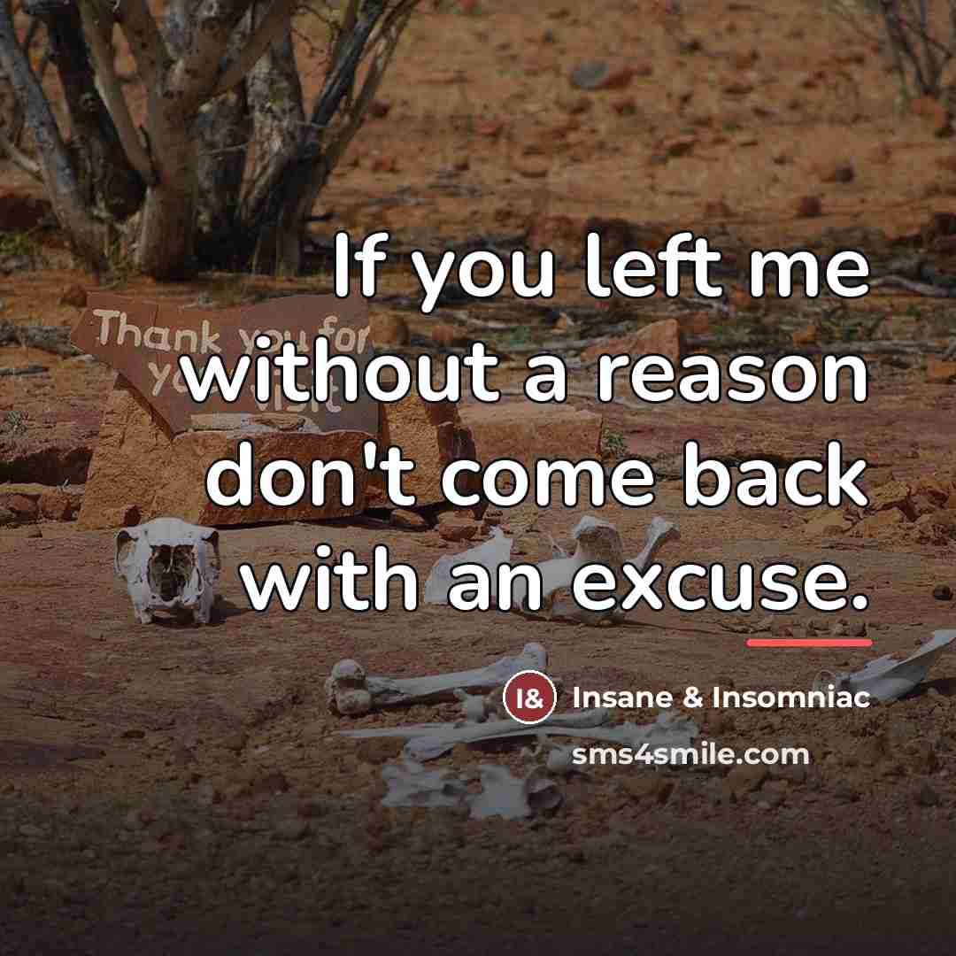 “If you left me without a reason don't come back…” quote by Insane & Insomniac