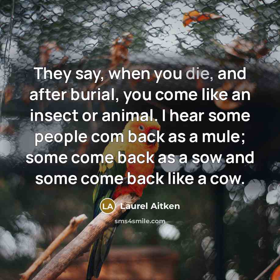“They say, when you die, and after burial, you come…” quote by Laurel Aitken