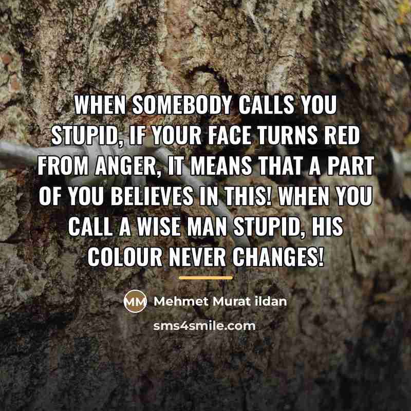“When somebody calls you stupid, if your face turns red…” quote by Mehmet Murat Ildan