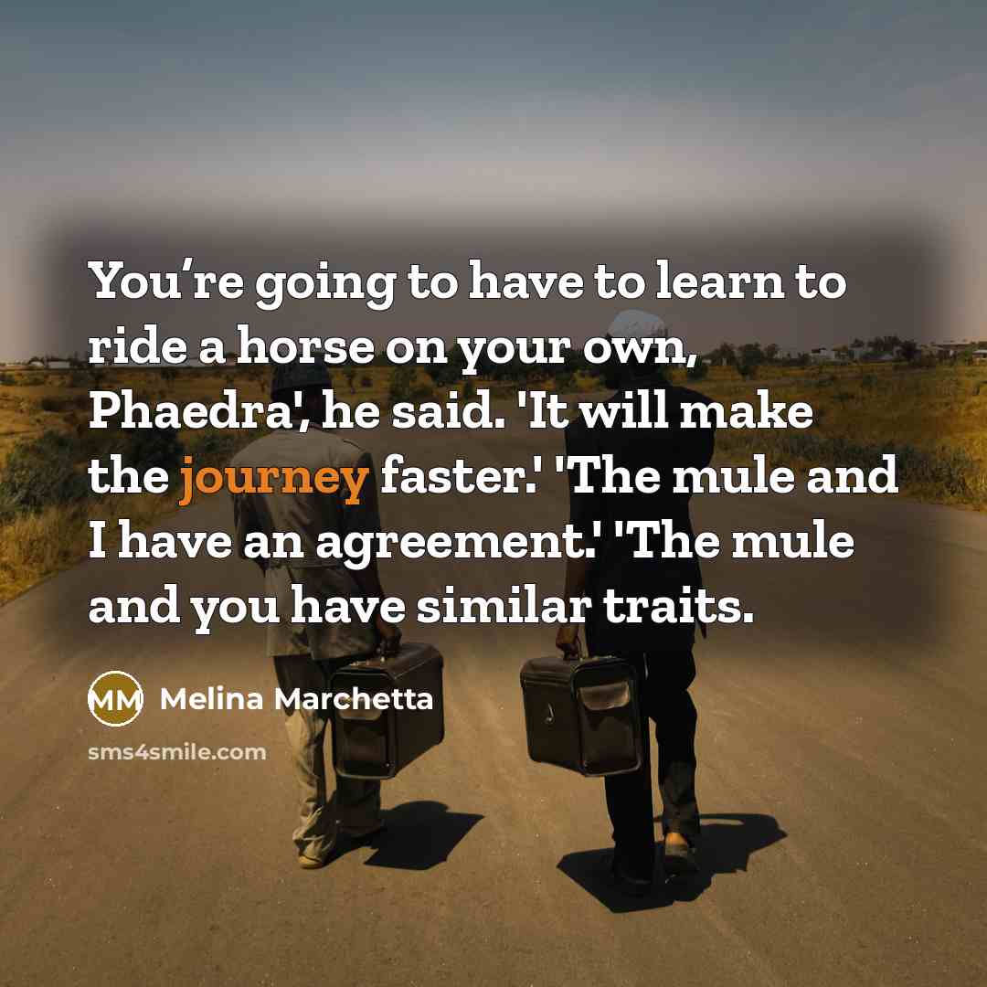 “You’re going to have to learn to ride a horse…” quote by Melina Marchetta