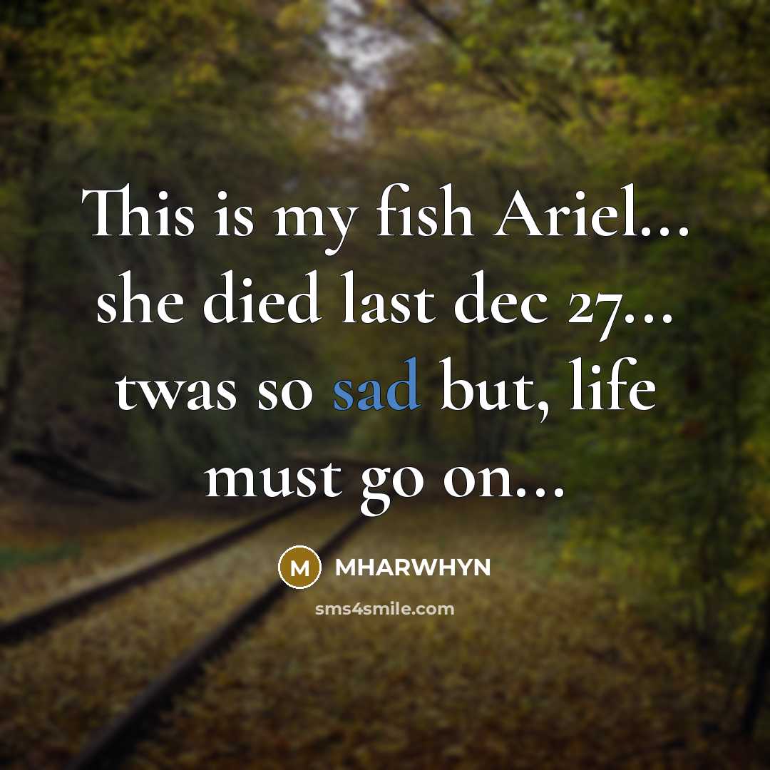 “This is my fish Ariel... she died last dec 27...…” quote by Mharwhyn