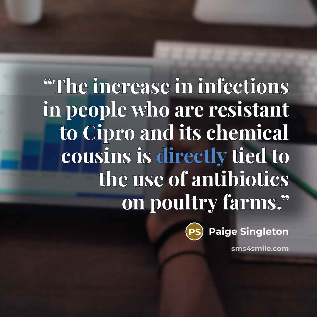 “The increase in infections in people who are resistant to Cipro and its chemical cousins is directly tied to the use of antibiotics on poultry farms.” quote by Paige Singleton